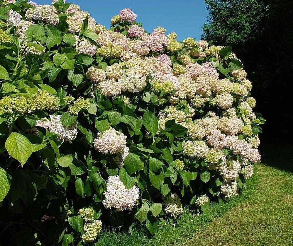 La Casona De 에르모사 외부 사진